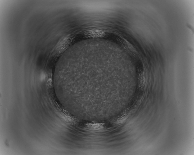 X0000096650553200802191245