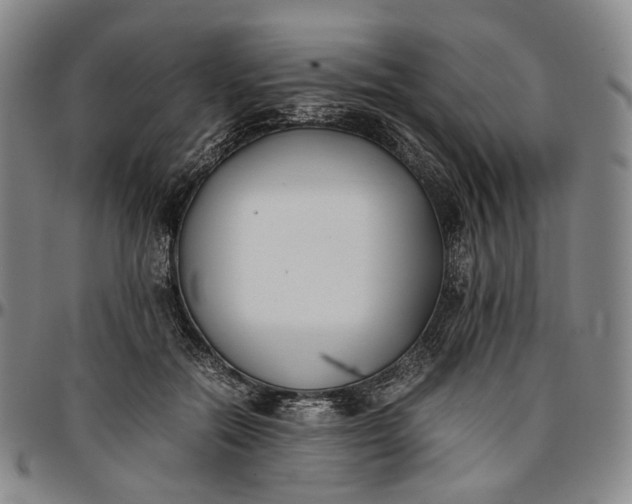 X0000096650554200802191245