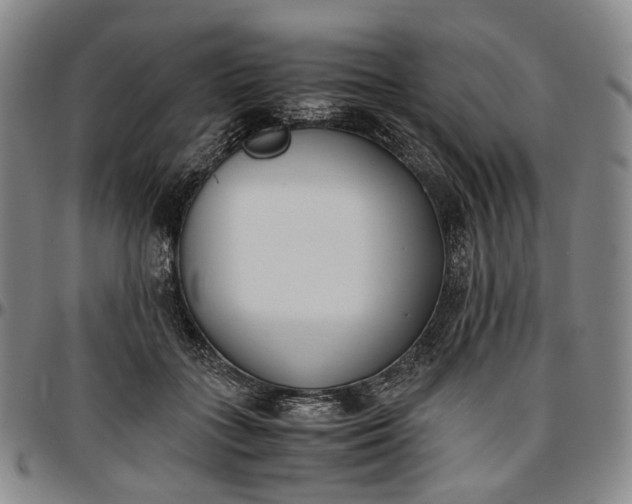 X0000096650555200802191245