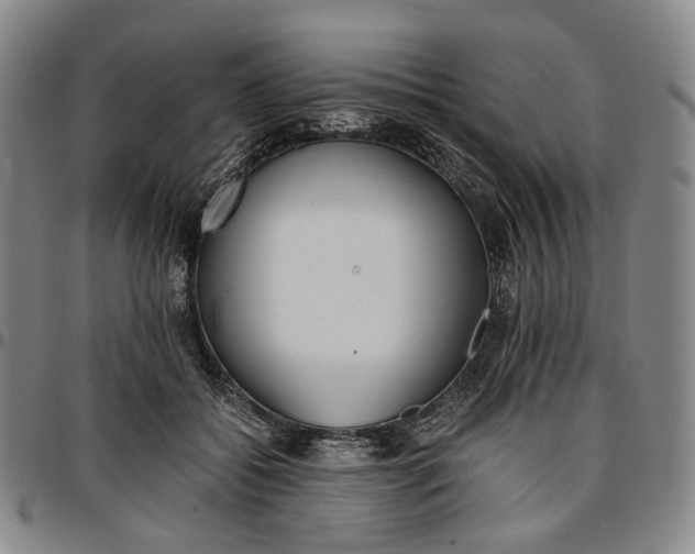 X0000096650556200802191245