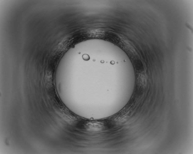X0000096650557200802191245