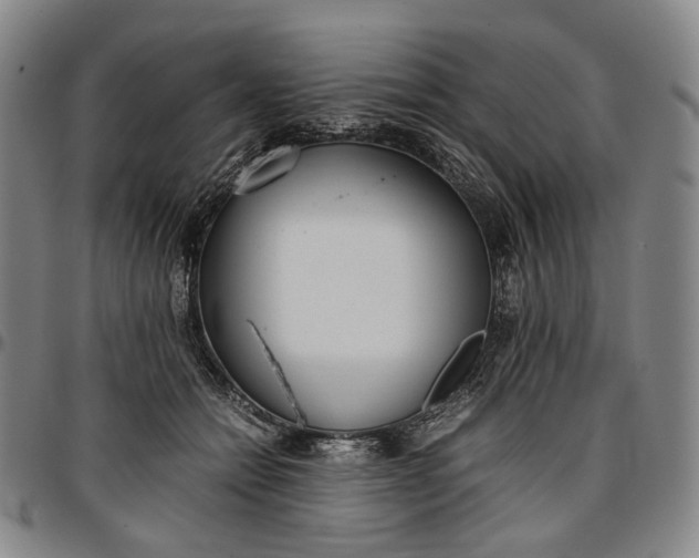 X0000096650558200802191245