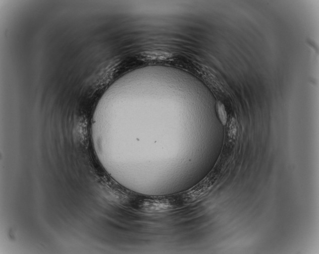 X0000096650559200802191245