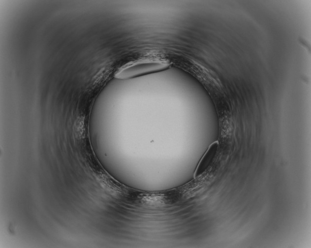 X0000096650560200802191245