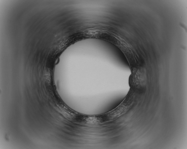 X0000096650562200802191245