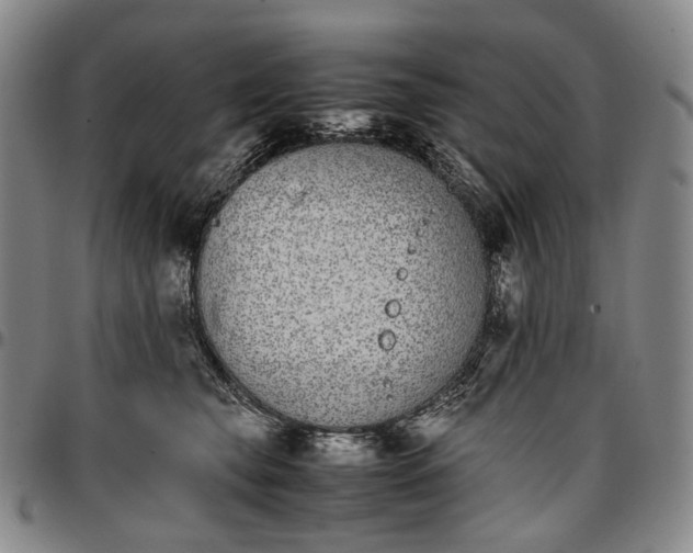 X0000096650565200802191245