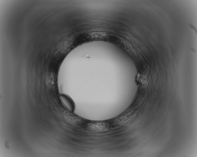 X0000096650567200802191245