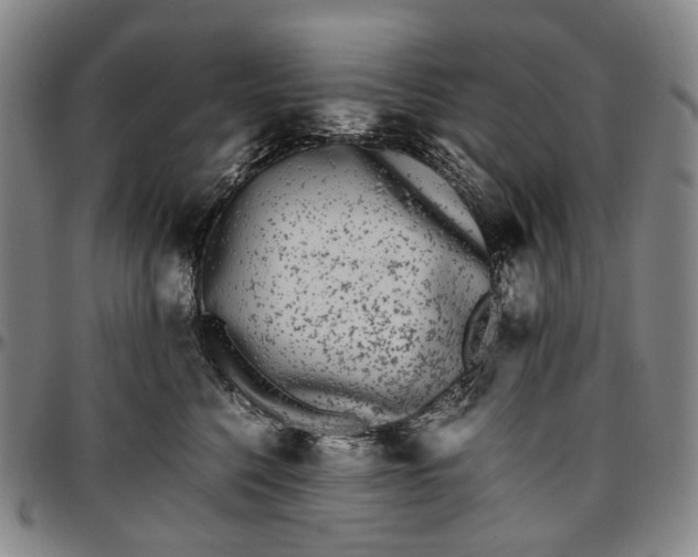 X0000096650568200802191245