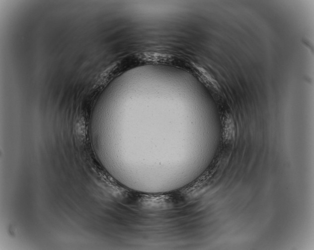 X0000096650569200802191245
