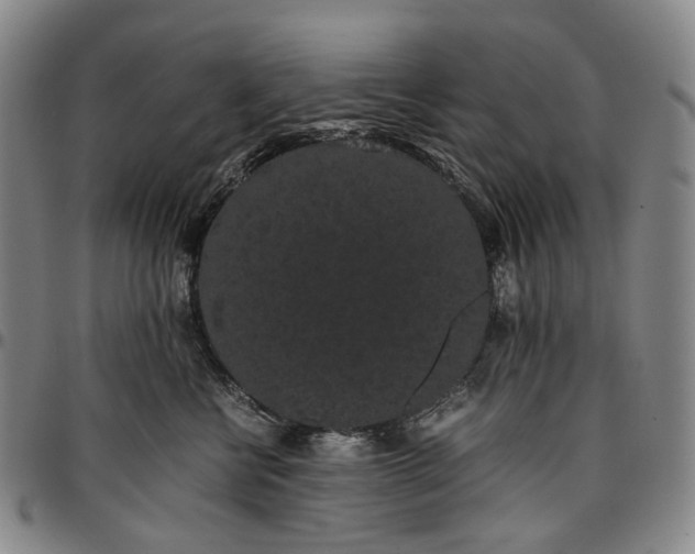 X0000096650570200802191245
