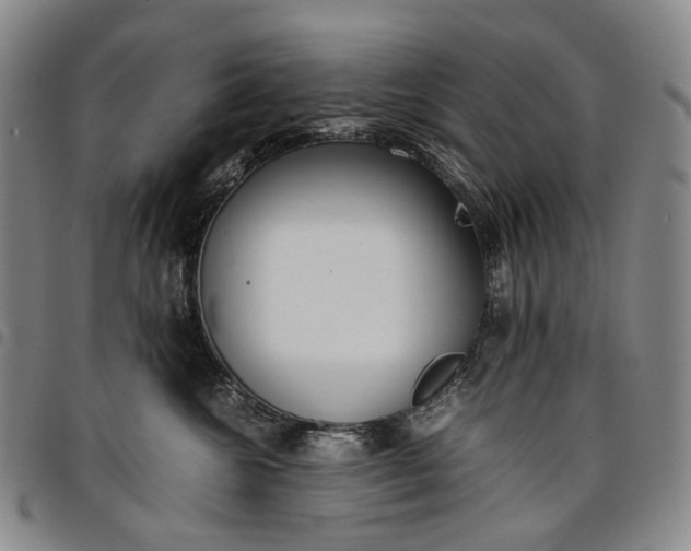X0000096650572200802191245