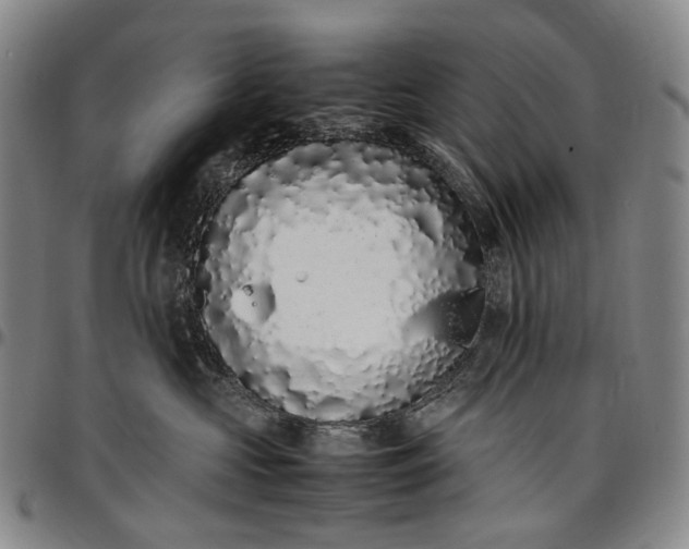 X0000096650573200802191245