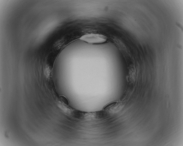 X0000096650574200802191245