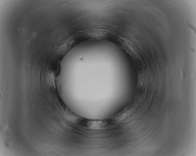 X0000096650575200802191245