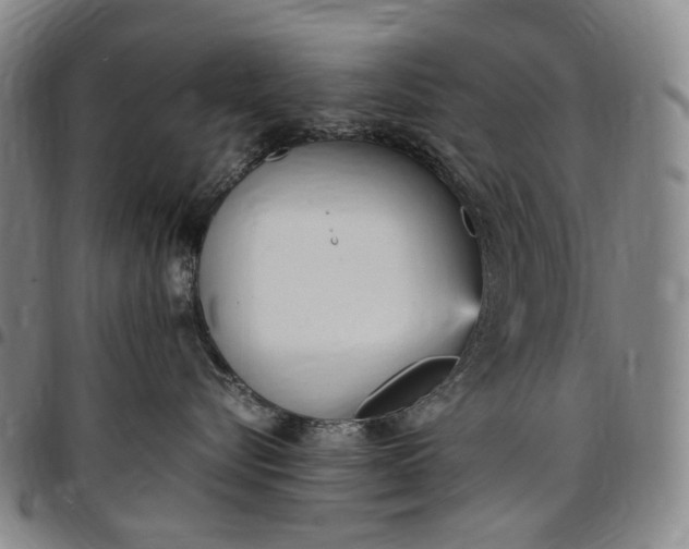 X0000096650576200802191245
