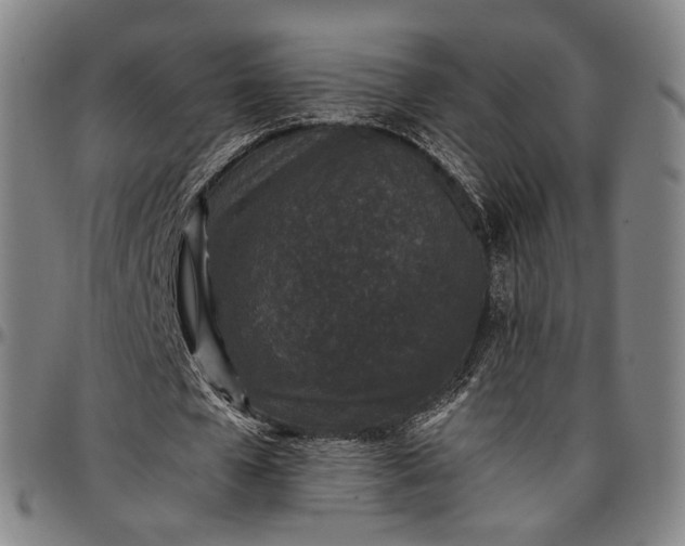 X0000096650577200802191245