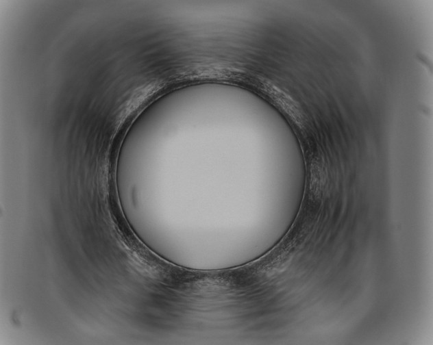 X0000096650578200802191245