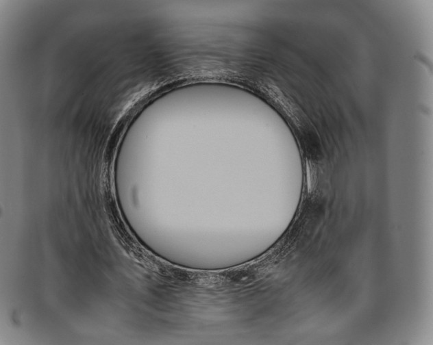X0000096650579200802191245