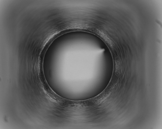 X0000096650580200802191245