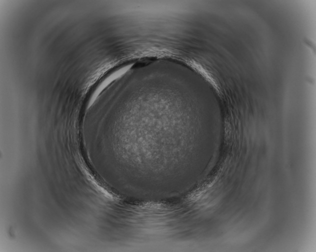 X0000096650581200802191245