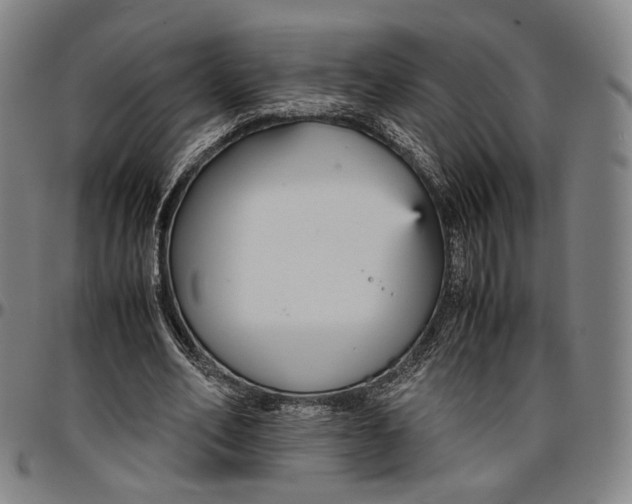 X0000096650582200802191245