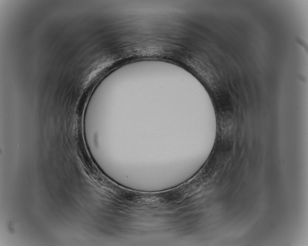 X0000096650583200802191245