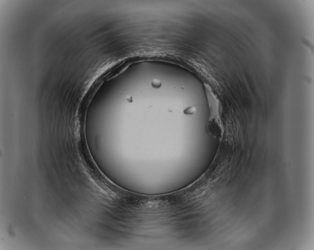 X0000096650584200802191245