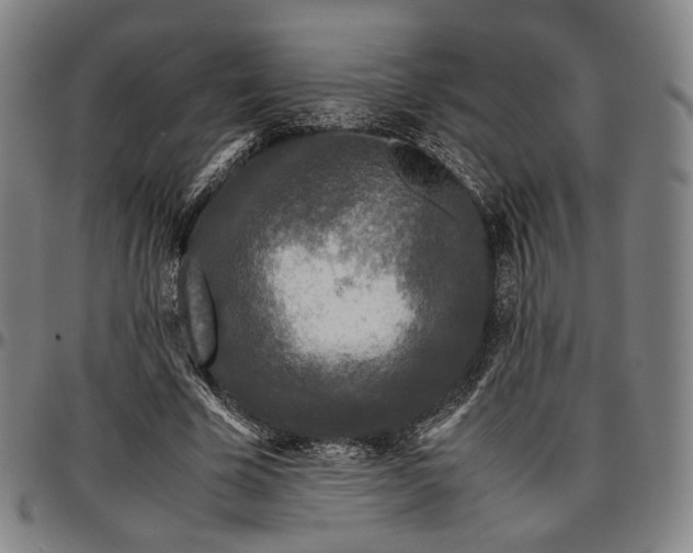 X0000096650585200802191245