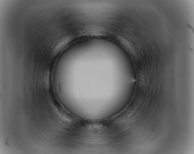 X0000096650586200802191245