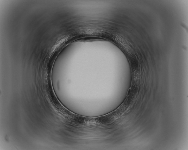 X0000096650587200802191245