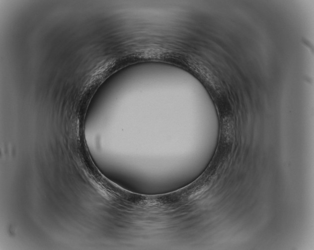 X0000096650589200802191245
