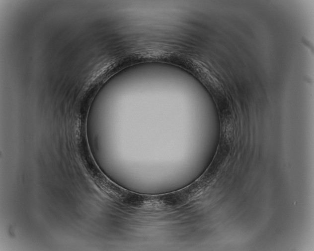 X0000096650591200802191244