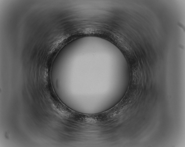 X0000096650592200802191244