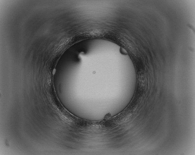 X0000096650593200802191244