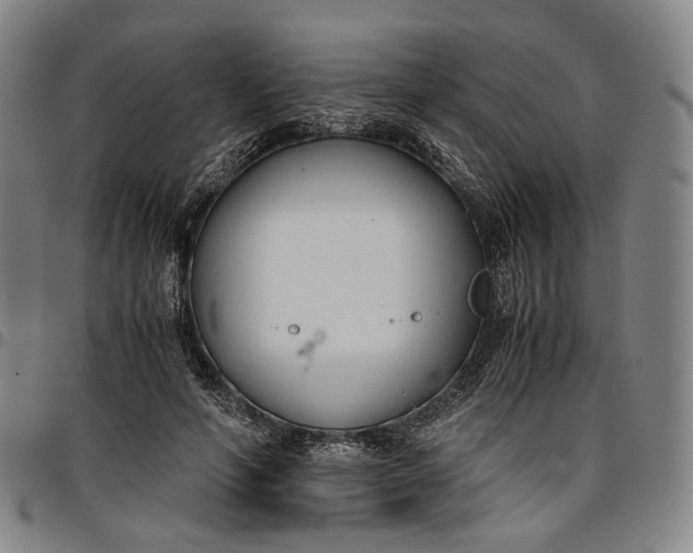 X0000096650594200802191244