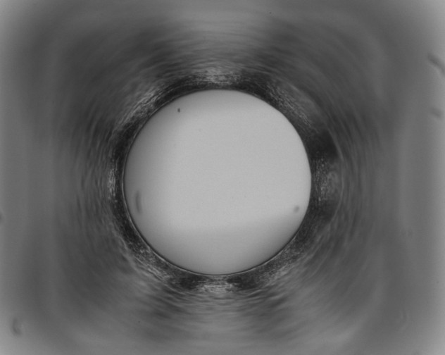 X0000096650595200802191244