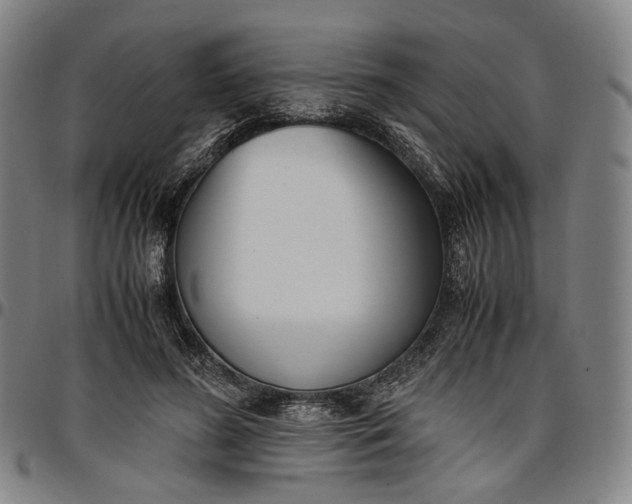 X0000096650596200802191244