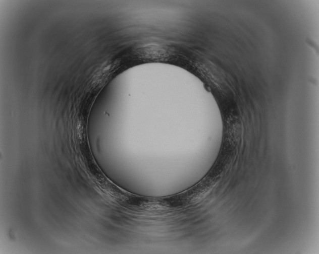 X0000096650597200802191244