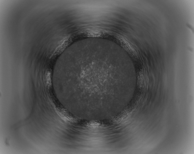 X0000096650598200802191244
