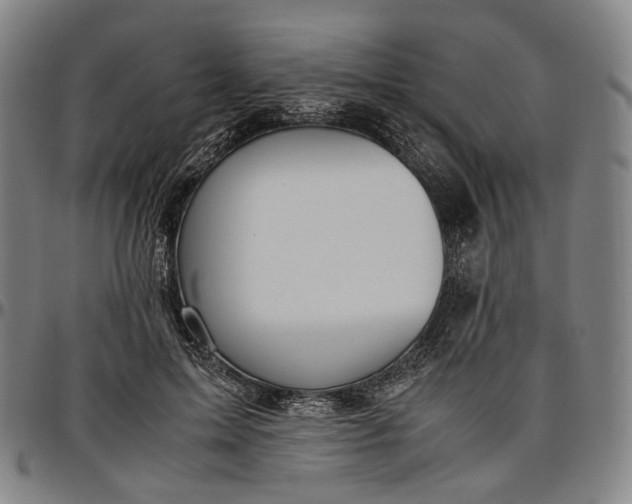 X0000096650599200802191244
