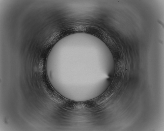 X0000096650600200802191244