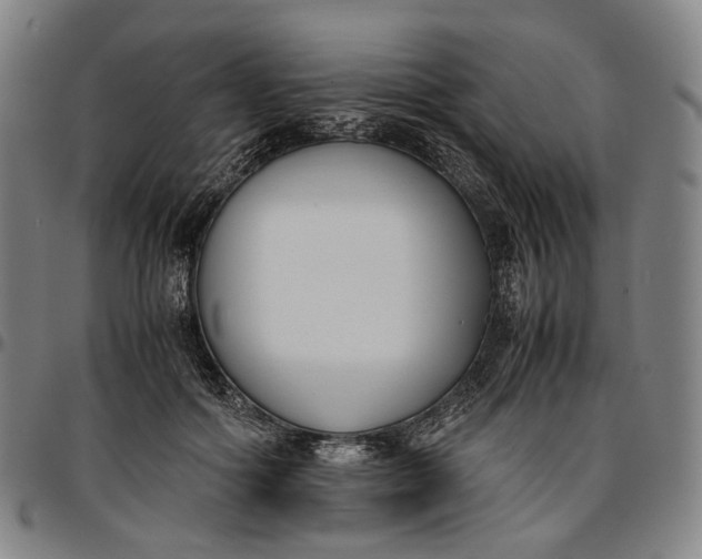 X0000096650602200802191244