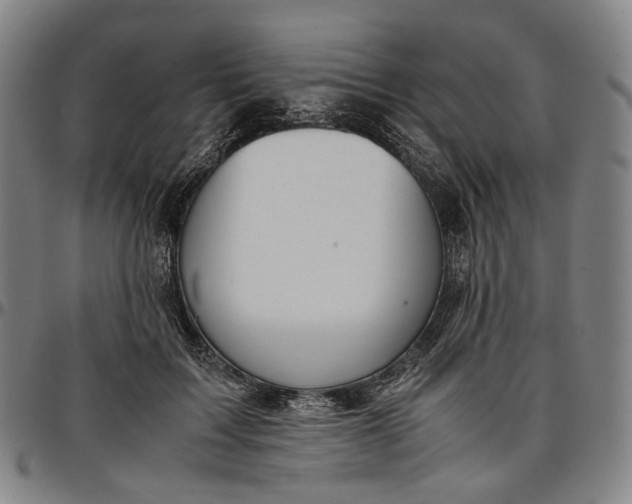 X0000096650603200802191244