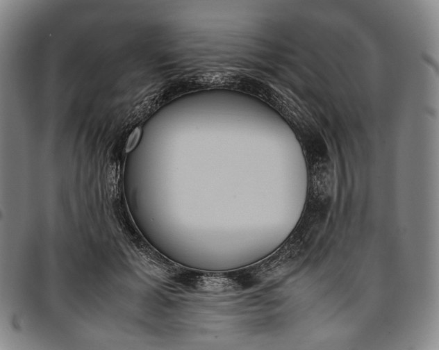 X0000096650605200802191244