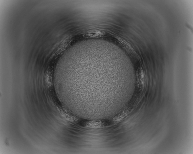 X0000096650606200802191244