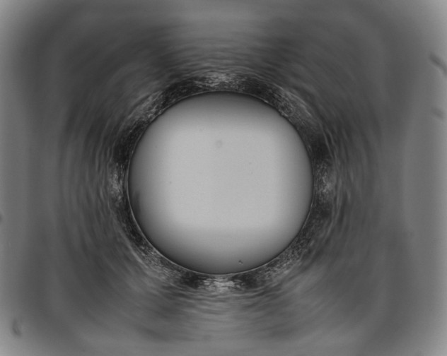 X0000096650607200802191244