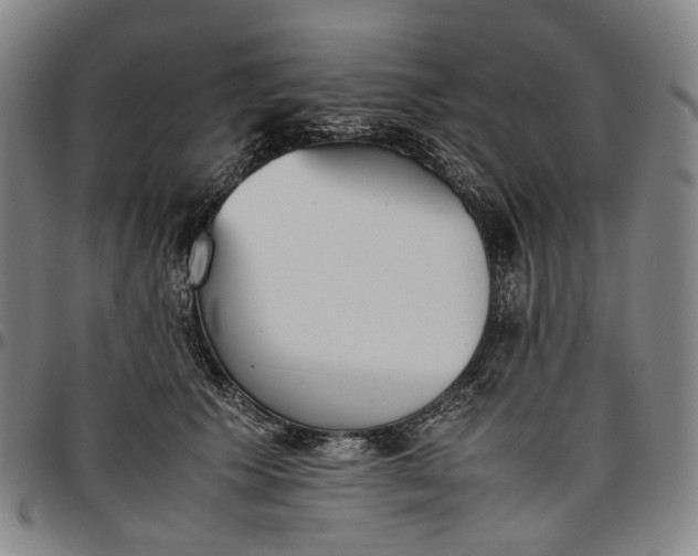 X0000096650609200802191244