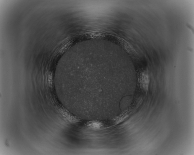 X0000096650610200802191244