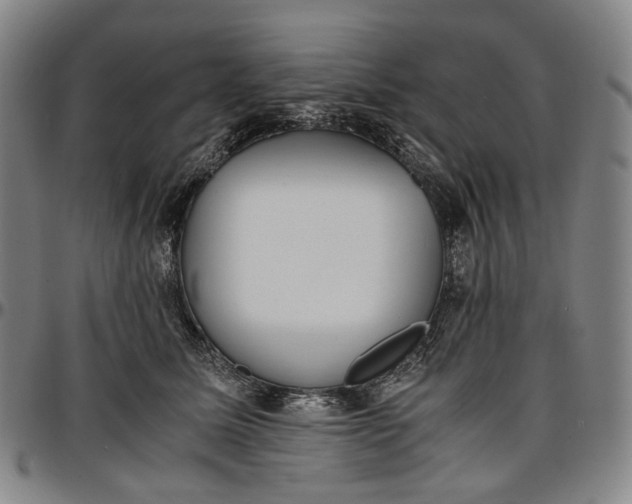 X0000096650611200802191244