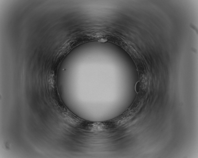 X0000096650612200802191244